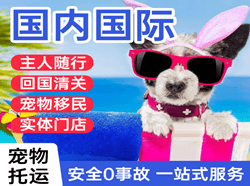 秦皇岛航空托运国际宠物托运 【国